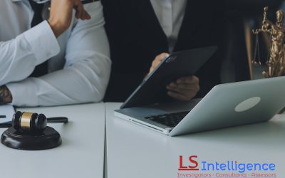 PROFESSIONAL INVESTIGATORS HOBART